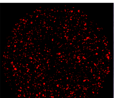 homogeneous-distribution-of-ingredients-in-a-psychotropic-drug-1