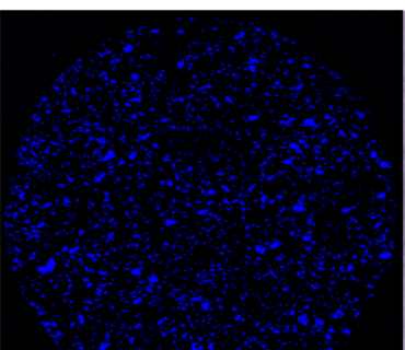 homogeneous-distribution-of-ingredients-in-a-psychotropic-drug-2