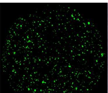 homogeneous-distribution-of-ingredients-in-a-psychotropic-drug-3